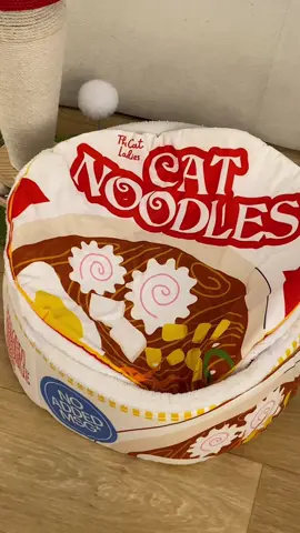 Do you think it’s a cup of noodles? Nope, it’s a cat bed!My cats love it! 🥹  #pethouse #cathouse #catbed #catroom #petbed #catmom #catsoftiktok #cat#catsoftiktok #cat #catnoodlebed #fyp 13798
