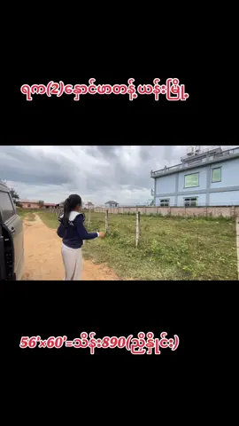လွၵ်းလိၼ်ပွၵ်ႉ(2)ၼွင်ၽႃ56'×60'=890သႅၼ်#မၢႆၽူင်း09676475192 #ၸုမ်းလိၼ်မႂ်ႇ #တန့်ယန်းအိမ်ခြံမြေအကျိူးဆောင် #လွၵ်းလိၼ်ၵႃႈၶၼ်ထုၵ်ႇၼႂ်းဝဵင်းတၢင်ႉယၢၼ်း #ဝဵင်းတၢင်ႉယၢၼ်း 