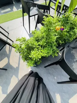 Hmm🫠🤌🏻 #foryou #fyppppppppppppppppppppppp #viralvideo #views #unfrezzmyaccount 