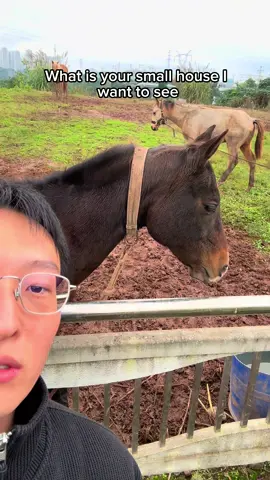 Hello Miss Billie Eilish@BILLIE EILISH #hello #mylife #fyp 