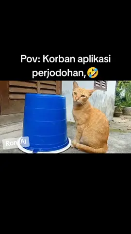 Oyen : Aku pasrahkan kepadamu ya Allah,😵 #fyp #kucing #lucu #kucinglucu #komedi 