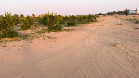 وكيف من البرد ذا يالربع قتلنا😂#تيم_ماربين📮🏴like #مارب#اكسبلور #اكسبلورexplore #