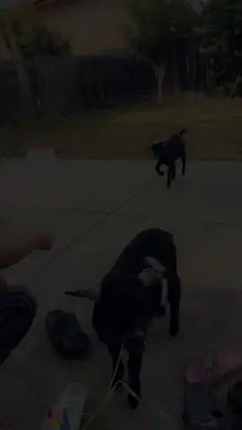 Recite Quran💚💚 #quranrecitation #quran_alkarim  #growmyaccount #muhammad#CapCut 