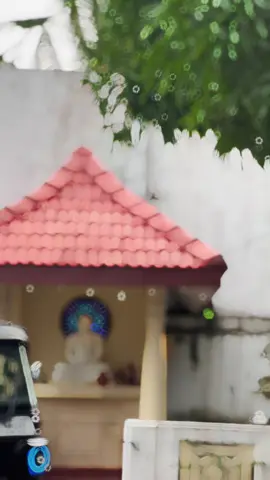 පොලීසිය හොයන් එන ඒවා..! 😸🖤⚠️