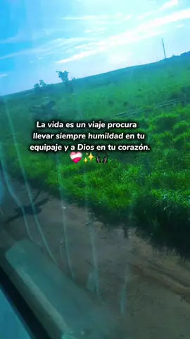 #creatorsearchinsights 