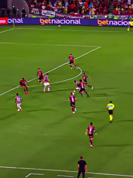 GOLAÇO DO LUCIANO ACOSTA!! #fluminense #flamengo #brasileirao2025 #lucianoacosta 