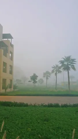 ♥️♥️♥️ #weather #fogweather #morningvibes #songstatus #uae🇦🇪 