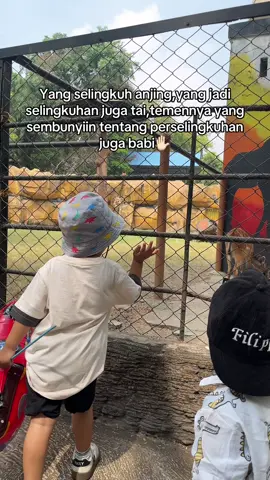 Aku jadi babinya ,kalian apa?🤣