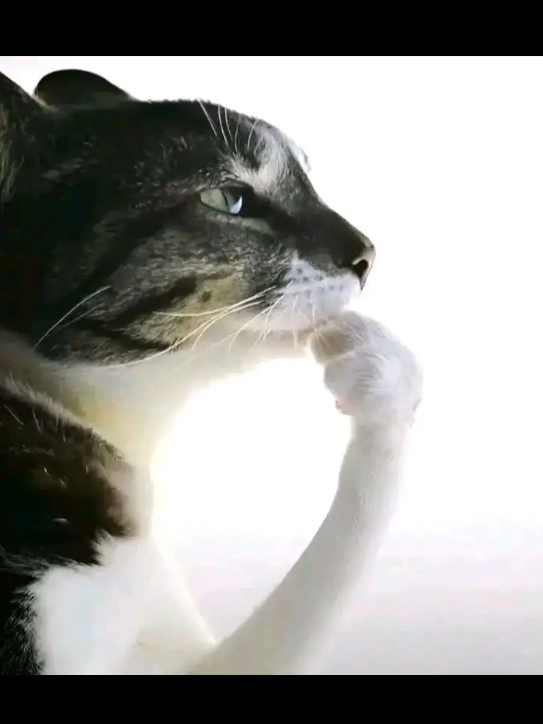 cosplayer: minsyheart