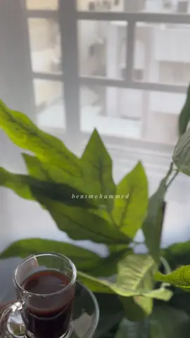 نحن ما بنحب الزول البشوف الرجولة في الشدة والغلطة . ..الرجولة في الاخلاق والطيبة وفي الحنية وفي والاحترام وفي الكرم وفي إنك تكون سند ...❤️