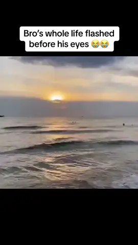 Flashed #life 🤣🤣🤣 #treanding #viral #catsoftiktok  #like