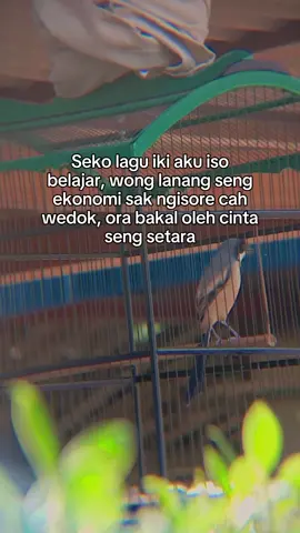 aassshuok#fyp #sadvibes #storykicaumania #kicaumania #masukberanda #fypage #CapCut 