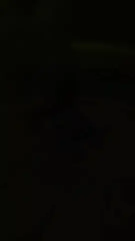 Menu MBG SPPG Tanjungharjo tgl 20 November 2025 #sekolah #prabowo #mbg #bgn 