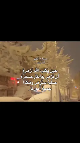 هكذا جميع أمورنا، ✨#اقتباسات #عبارات #بدون_موسيقي #fyp 