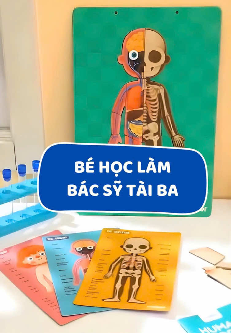 Bộ đồ chơi thông minh giúp bé khám phá cơ thể 🌟🥰 #mideervietnam #mideer #đồchoithongminhchobe #mideertoys #đồchơitrẻem 