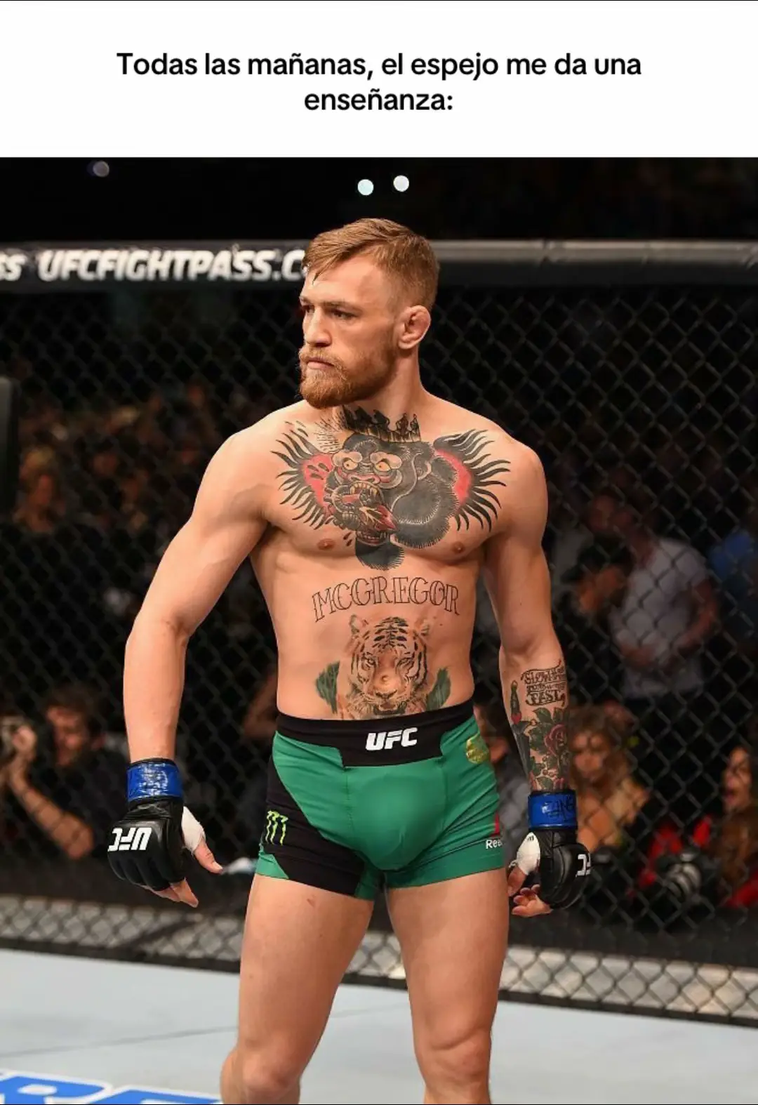 #motivacion #disciplina #successmindset #conormcgregor #boxing 