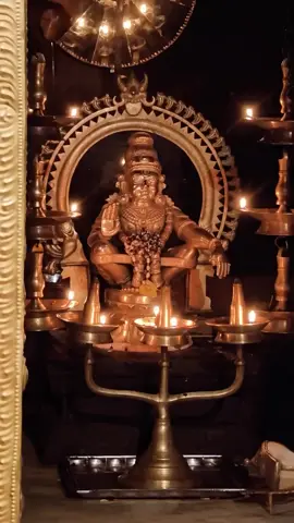 സ്വാമി ശരണം 🙏🙏🙏