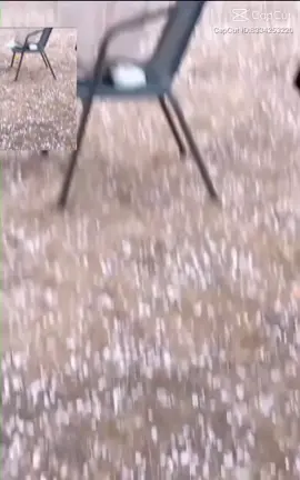 #xuhuongtiktok #yumenglong #yumenglong于朦胧 #vumonglung 