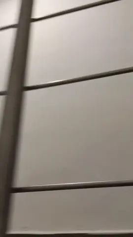 así me ahorro la fatiga de atrapar a mí Presa 🥲