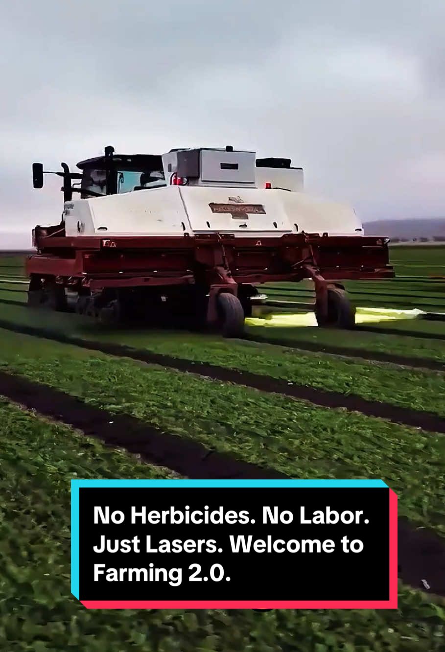 No Herbicides. No Labor. Just Lasers. Welcome to Farming 2.0.#FarmTech #Robotics #foryou #knowledge #usa_tiktok 