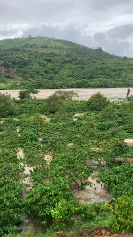 Nam ka hôm nay 20/11 