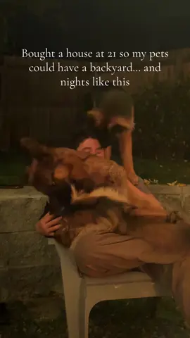 Luv my little family 🥹 #foryoupage #xyzbca #buyingahouse #fyp #germanshepherd 