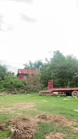 អាតឿមកហើយ#😂😂😂 