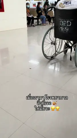 🐌 คนใต้เขาเรียกว่าทาก (ที่ดูดเลือดคน) 😂😂 #สัตว์โลกน่ารัก  #คนไทยเป็นคนตลก  #ฟีดดดシ #เปิดการมองเห็น #นครศรีธรรมราช  @ดาวที่อยู่บ่นท้องฟ้า☺️ @Ponlawat Somwong 