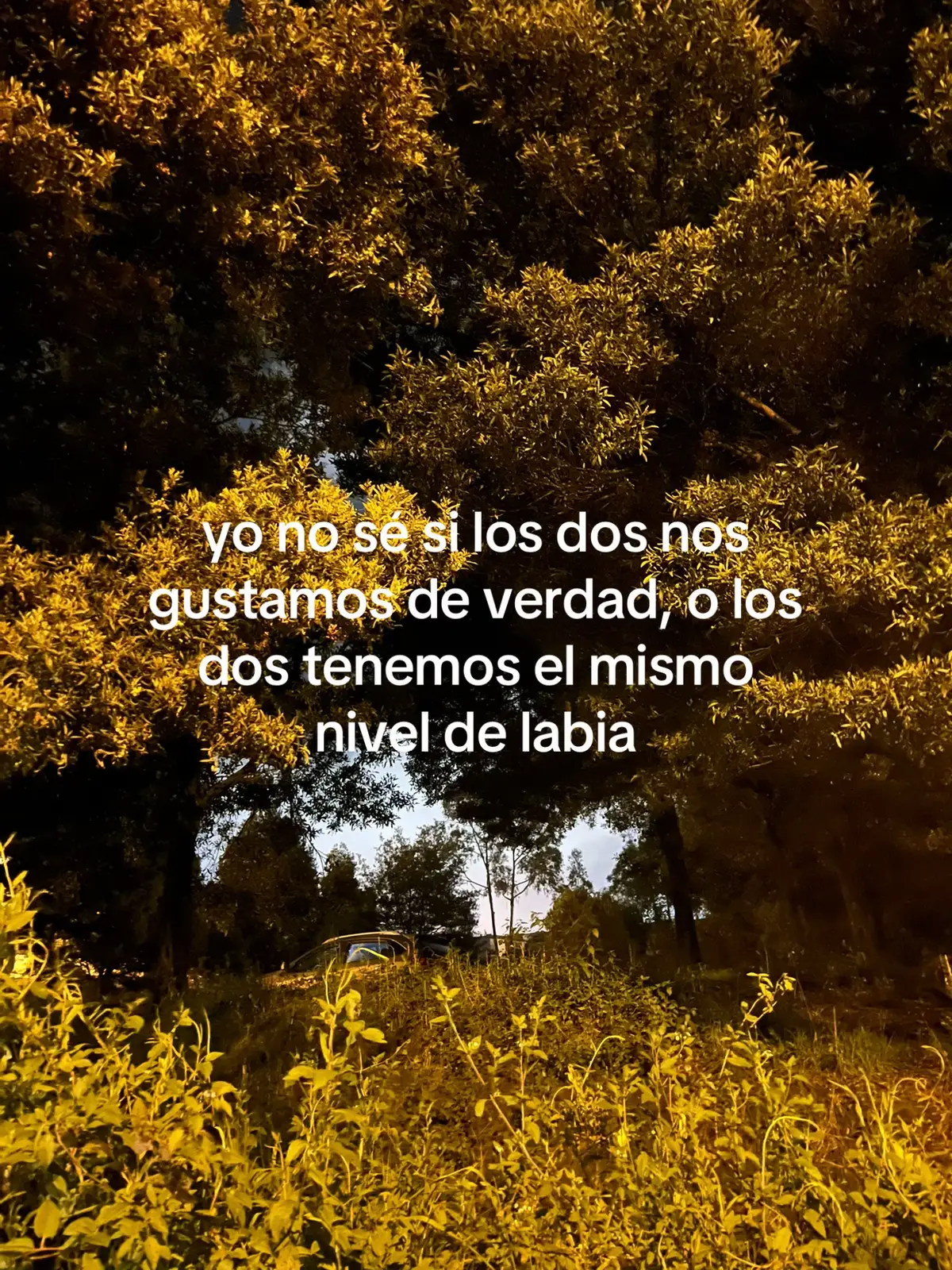 #Zion #hazmeviral #laplayer #viral #fyp