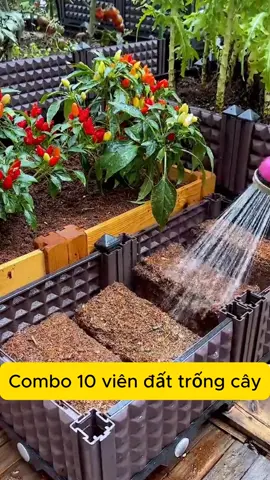 Trộn vào đất, làm đất mềm ra, cải tạo đất khô cằn.  #viennenxodua #viennenxoduatrongcay #hanhla #xuhuong 