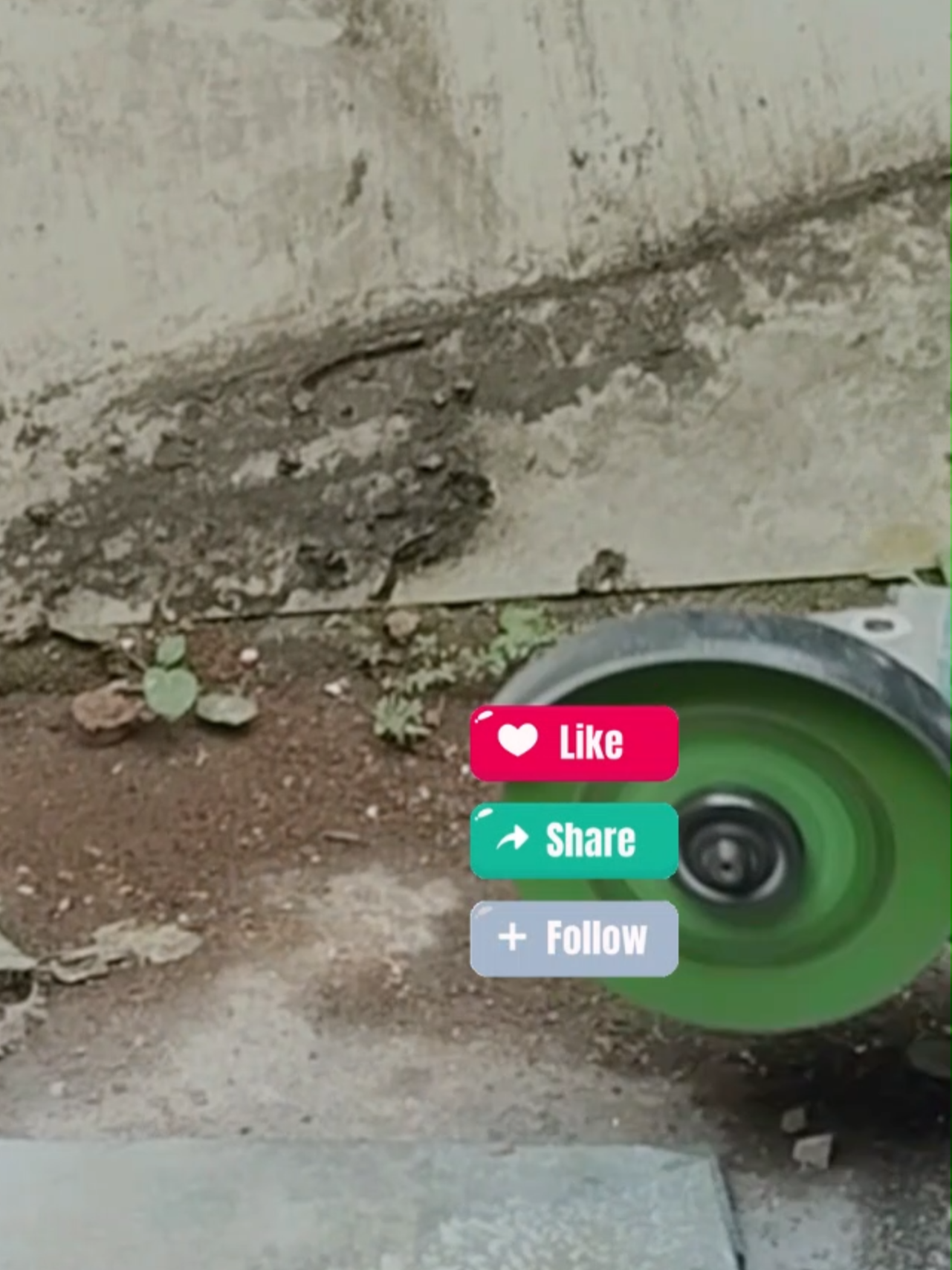 Glass Cutting Disc Mata Gerinda Pemotong Kaca keramik Ingin memotong kaca, keramik, maupun granit secara mudah dan akurat? Mata Gerinda Pemotong Kaca Keramik, Glass Cutting Disc adalah solusi tepat untuk Anda. Terbuat dari logam komposit berkualitas yang dilapisi Berlian industri, membuatnya memiliki kekuatan dan ketahanan yang luar biasa dalam memotong bahan-bahan tersebut. Dapatkan Glass Cutting Disc dalam setiap pembelian untuk kebutuhan potongan kaca, keramik atau granit Anda. Gunakan Mata Gerinda Pemotong Kaca ini dengan mudah dan hasil potongan akan presisi serta halus. Jangan lewatkan kesempatan ini untuk mendapatkan produk berkualitas tinggi dengan harga terjangkau. Segera miliki Mata Gerinda Pemotong Kaca Multifungsi, Glass Cutting Disc sekarang juga ! #cuttingglass #multifunctionalcuttingdisc #cuttingdisc #matagerinda #matagerindapemotongkaca #matagerindamultifungsi #cuantanpabatas #wibgajian #cuttingglass #multifunctionalcuttingdisc #cuttingdisc #matagerinda #matagerindapemotongkaca #matagerindamultifungsi #cuantanpabatas #wibgajian#peralatan #perkakas #alat #peralatanbengkel #perkakasbengkel