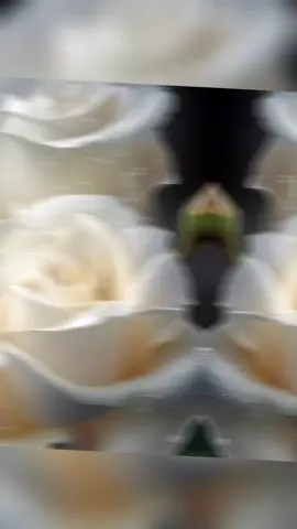 #foryou #vairal #video # আমারে তুই একা ফেলে# 