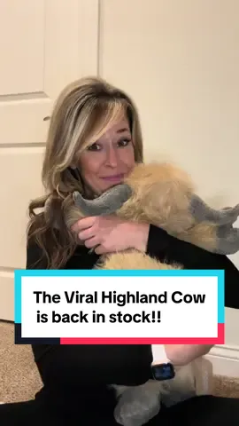 The highland cow from @Uoozii is finally back in stock. Snatch him up now with the great Black Friday deals!! #uoozii #highlandcow #tiktokshopblackfriday #christmas #fyp 