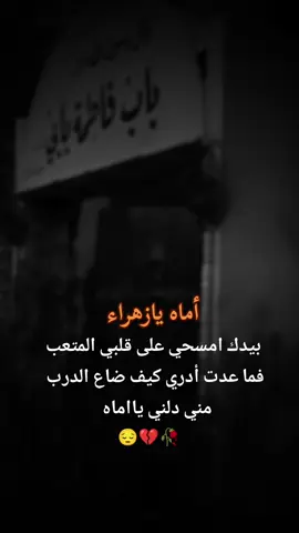 #اللهي_بفاطمه_الزهراء وانت اعلم بما في قلبي 💔😔