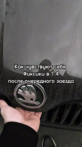 #skoda #octavia #vag #юмор