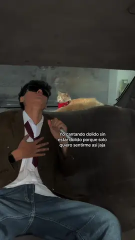 Es mi pasión  #humor #gatos #dolido #hombres #mujeres 