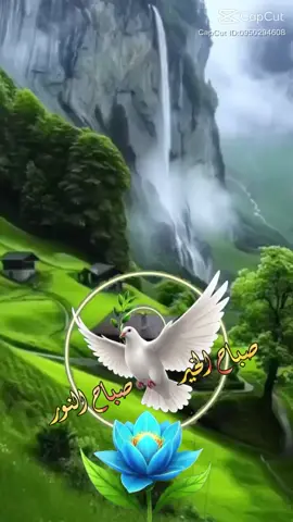 #اسعد الله صباحكم بكل خير وصحة وسعادة يارب #🤲🙏 #اللهم صل على محمد 🌺وآل محمد 🌺وعجل فرجهم #🤲🙏 