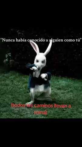 #fyp#todos los caminos llevan a roma #porque?