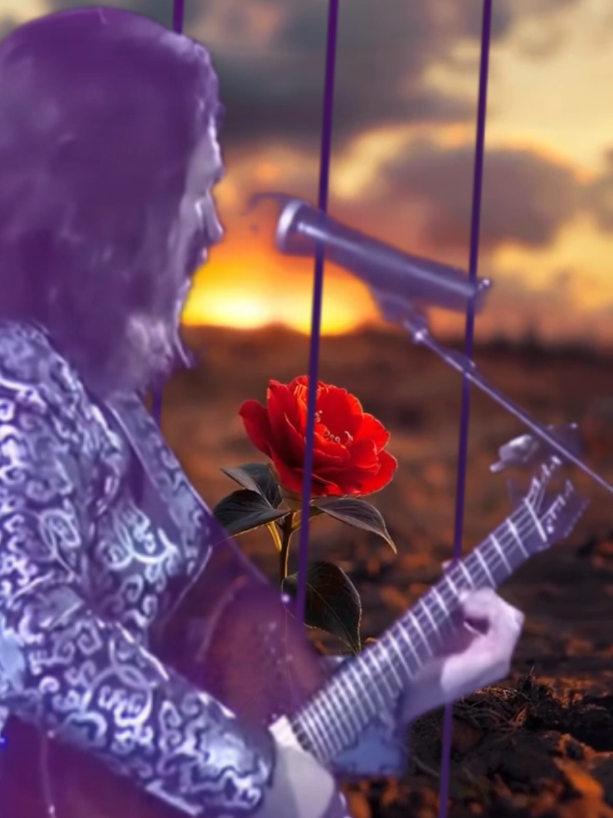 Quiereme - Los Bukis #losbukis #marcoantoniosolis #estadosunidos #latinosenusa 