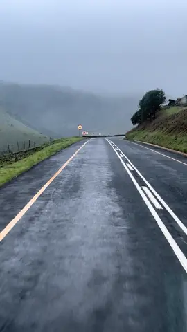 #durbancontainerboyz #🚛MILESMOVING 