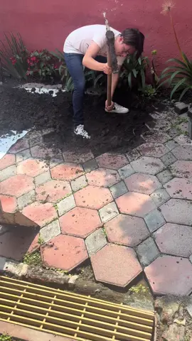 Te extraño nene, fuiste el mejor perro del mundo.#vpi #mascotas #perros 