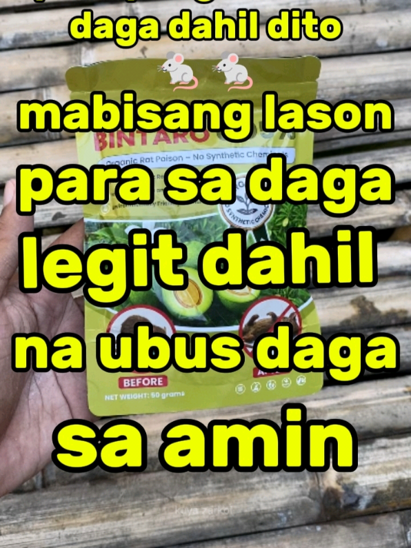 Wala nang daga sa paligid ng kulungan ko dahil dito. Ang linis na, ang tahimik pa! 🤯 Bilis habang naka-sale pa! #bintaroratpoison #manokan  #ratkiller  #ratpoison #mouse 