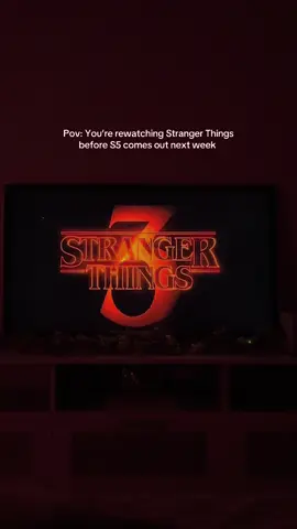 Season 3 will always be my favorite 🚲🍦👾🖤 #strangerthings3 #strangerthings5 #strangerthingsnetflix 