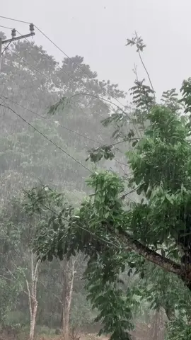 🫀#fyp #foryoupage #sidrap #sulawesi 