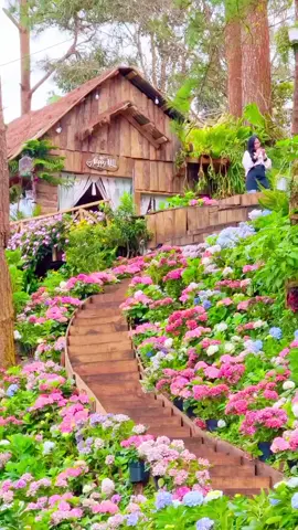 ƯỚC LÊN ĐƯỢC 1K TIM Ạ #XUHUONG#