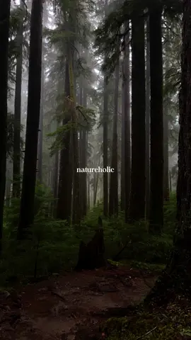 My forever adiction.  Get Busy Living 🔆