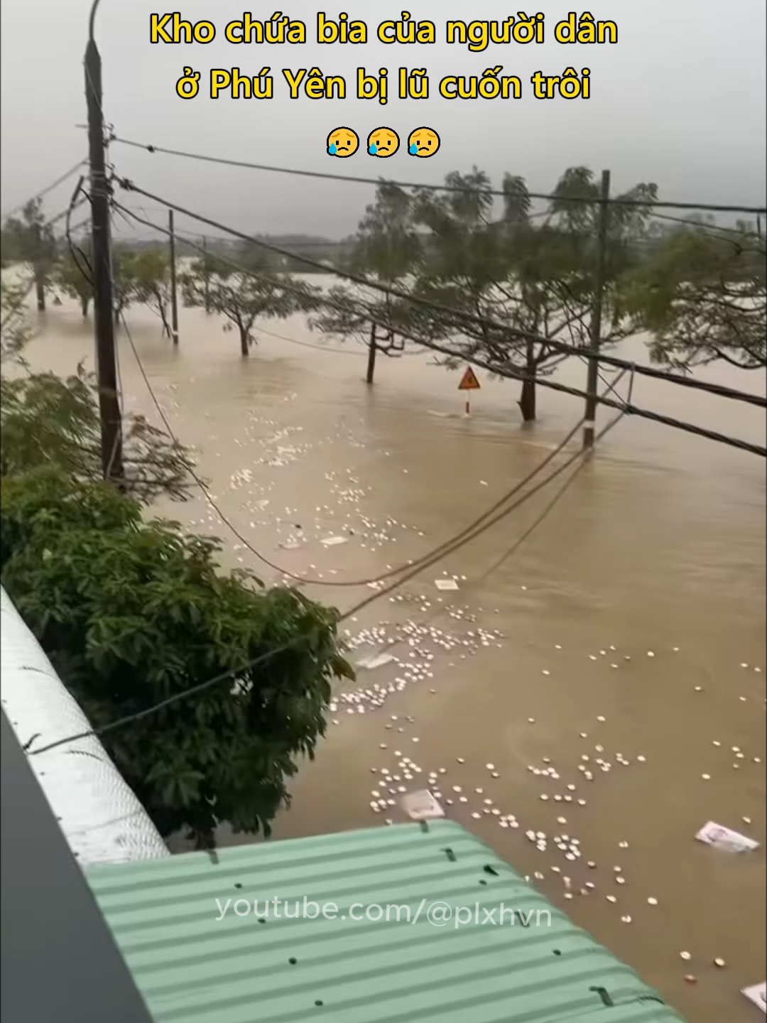 Kho chứa bia của người dân ở Phú Yên bị lũ cuốn trôi 😥 #mualu #lulutmientrung #phuyen #tamtrang #plxhvn #phapluatxahoi