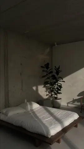 Saason Main Tera #laguindia #saasonmainteri #picture_ig_pieterpeulen