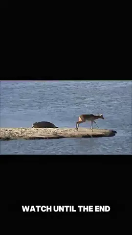 #fypシ #satisfying #reels #viral #motivation 