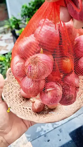 Củ hành tím khô ấn độ #hocvay0882 #hanhtimhanhkho #thucphamvagiavi #dogiadung @HỌC VÁY 0882 @HỌC VÁY 0882 @HỌC VÁY 0882 